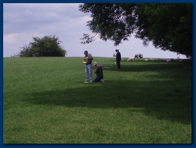 600x449 pixels (124K)